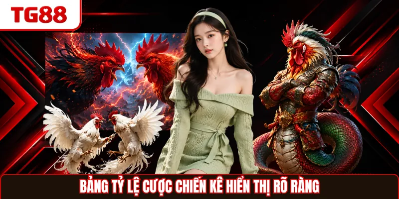 Bảng tỷ lệ cược chiến kê hiển thị rõ ràng