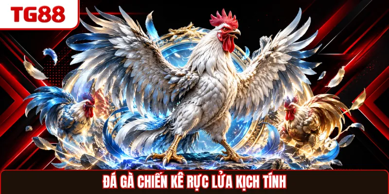Đá gà chiến kê rực lửa kịch tính