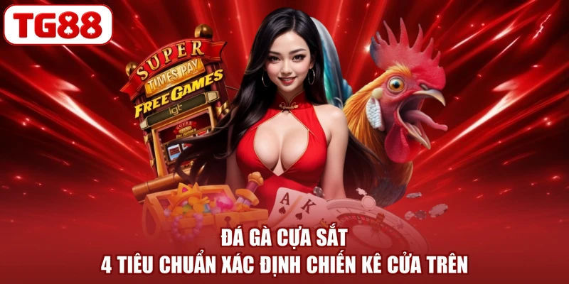 Đá Gà Cựa Sắt - 4 Tiêu Chuẩn Xác Định Chiến Kê Cửa Trên