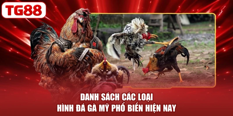 Danh sách các loại hình đá gà Mỹ phổ biến hiện nay