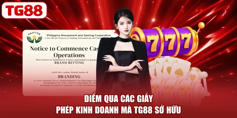 Điểm qua các giấy phép kinh doanh mà TG88 sở hữu