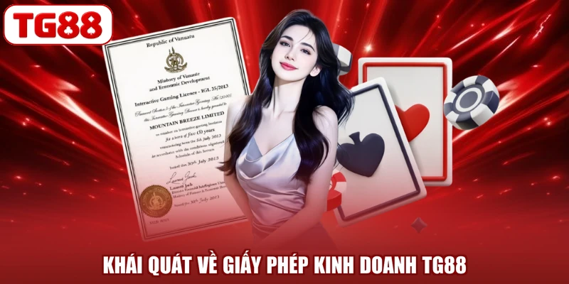 Khái quát về giấy phép kinh doanh TG88