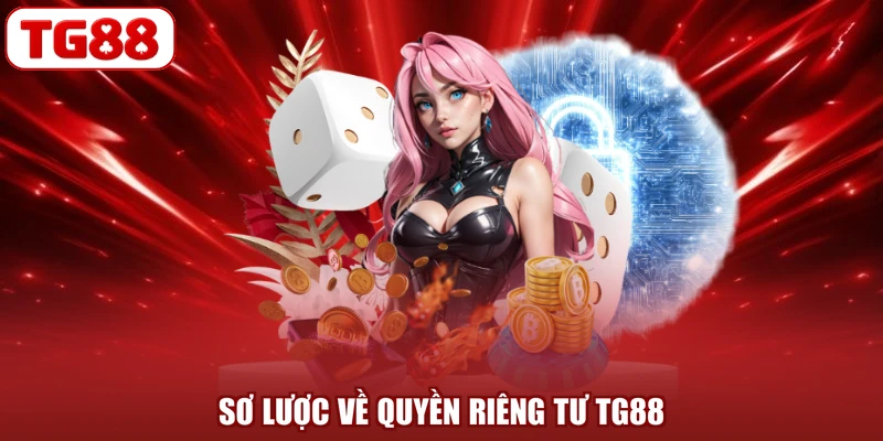 Sơ lược về quyền riêng tư TG88