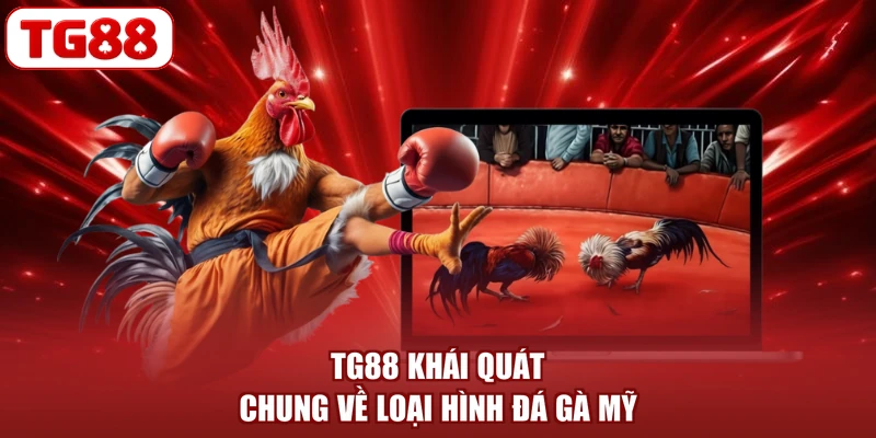 TG88 khái quát chung về loại hình đá gà Mỹ