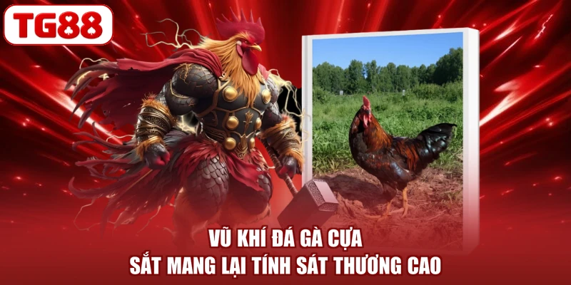 Vũ khí đá gà cựa sắt mang lại tính sát thương cao
